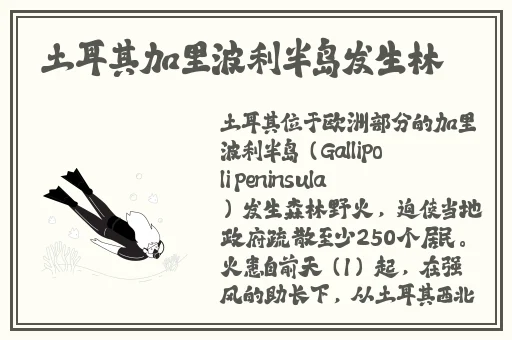 国产AⅤ精品一区二区久久